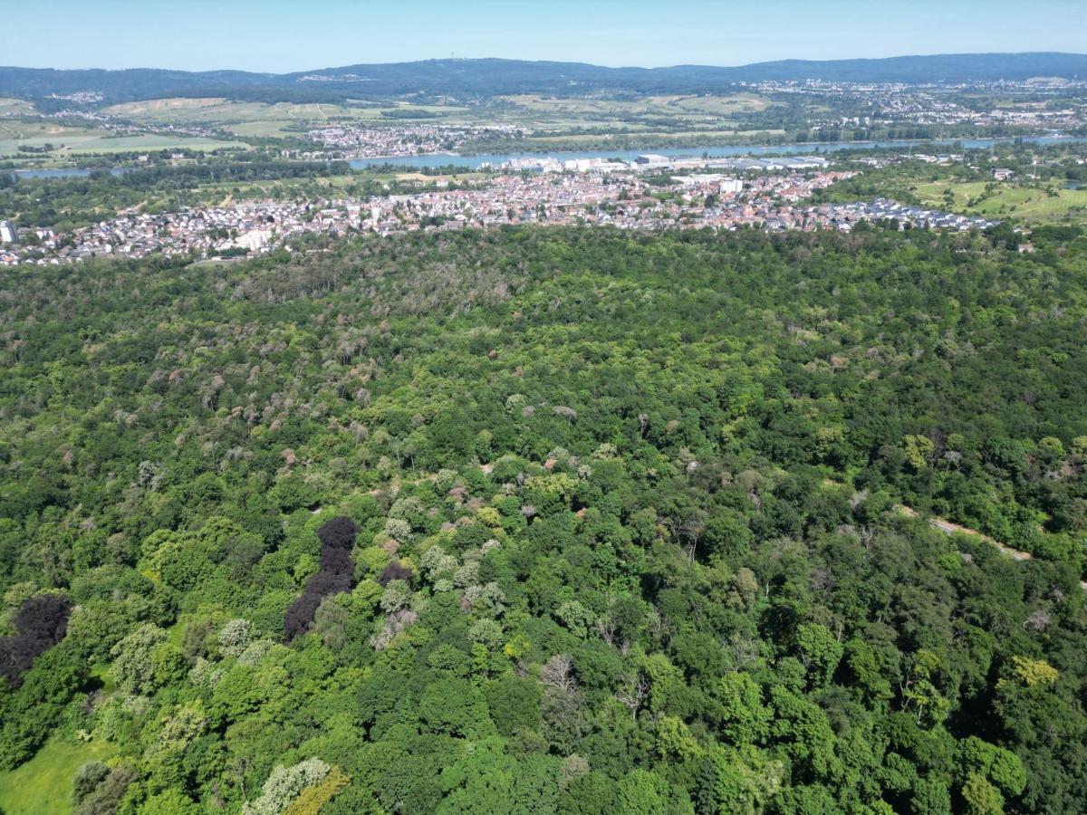 Ferienhaus Budenheim מראה חיצוני תמונה